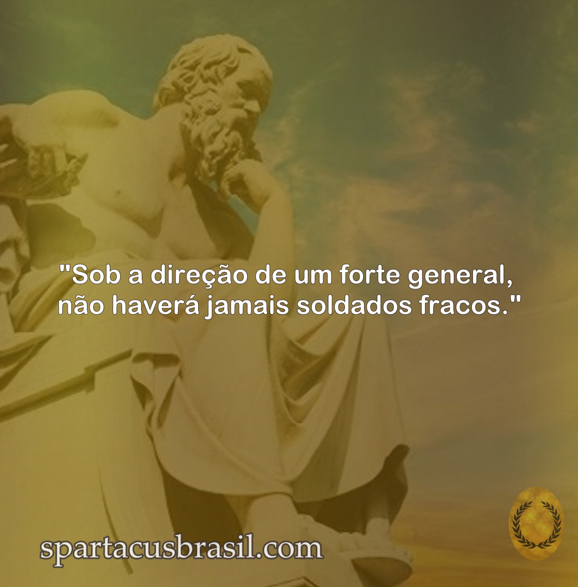 10 Melhores FRASES de SÓCRATES para Refletir | Spartacus Brasil